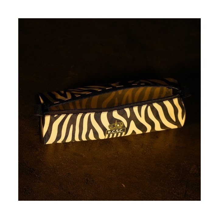 Rcsc-Plumier zèbre 25-26